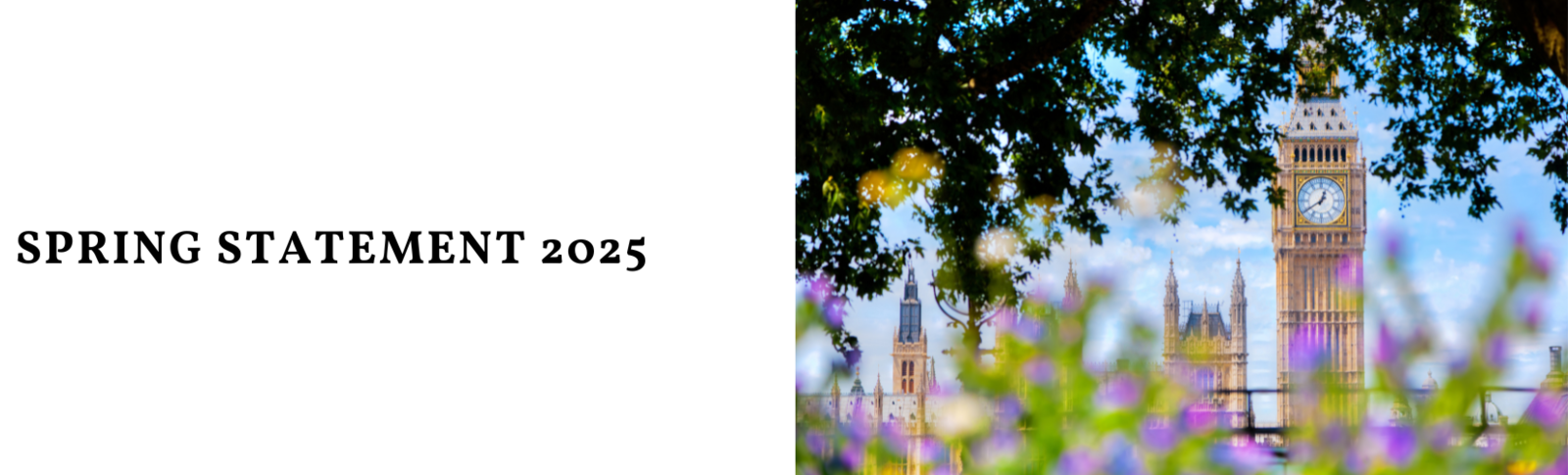 Asset Intelligence Comment: Spring Statement 2025